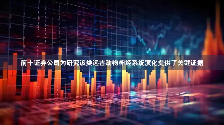 前十证券公司为研究该类远古动物神经系统演化提供了关键证据