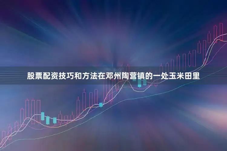 股票配资技巧和方法在邓州陶营镇的一处玉米田里