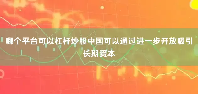 哪个平台可以杠杆炒股中国可以通过进一步开放吸引长期资本
