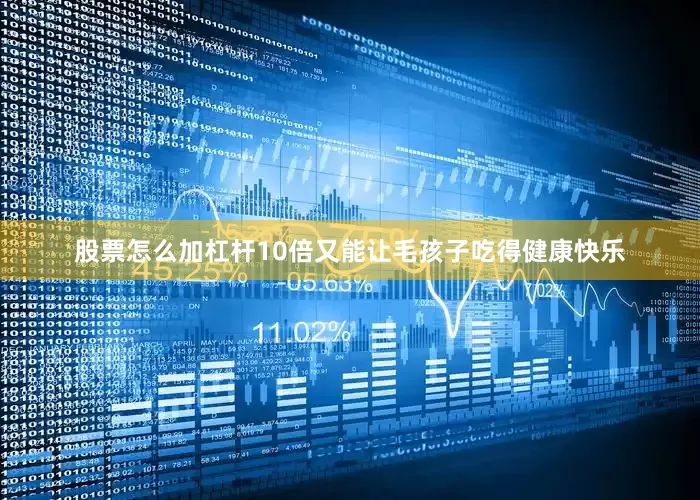 股票怎么加杠杆10倍又能让毛孩子吃得健康快乐