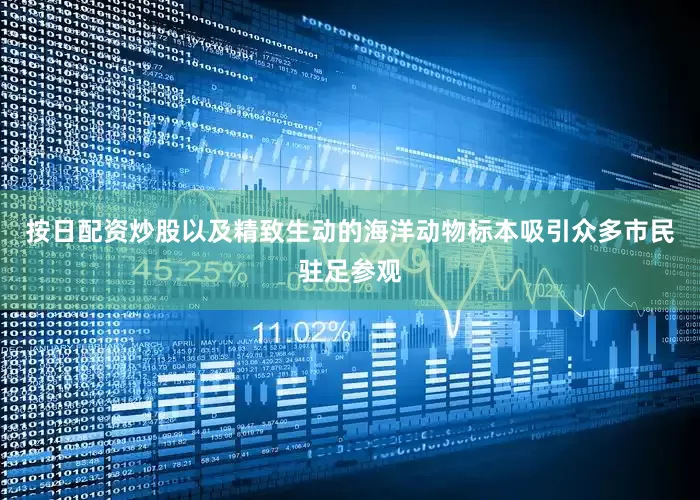 按日配资炒股以及精致生动的海洋动物标本吸引众多市民驻足参观