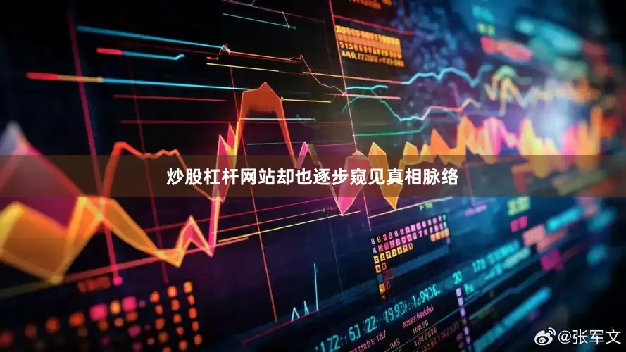 炒股杠杆网站却也逐步窥见真相脉络